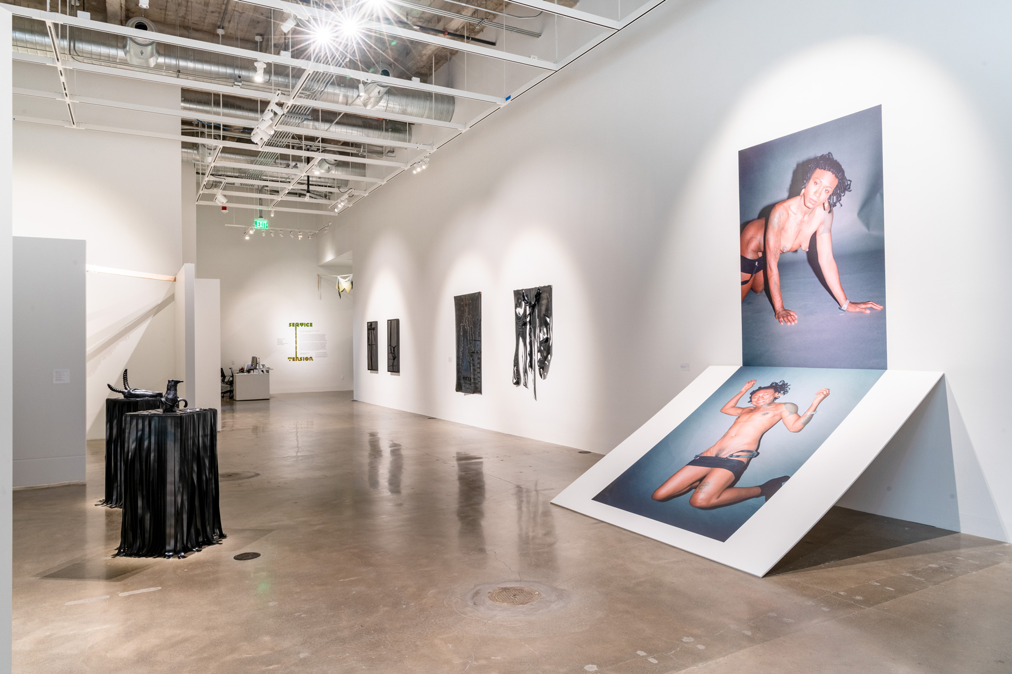 gallery view with rubber works on pedestals, large photo prints on walls