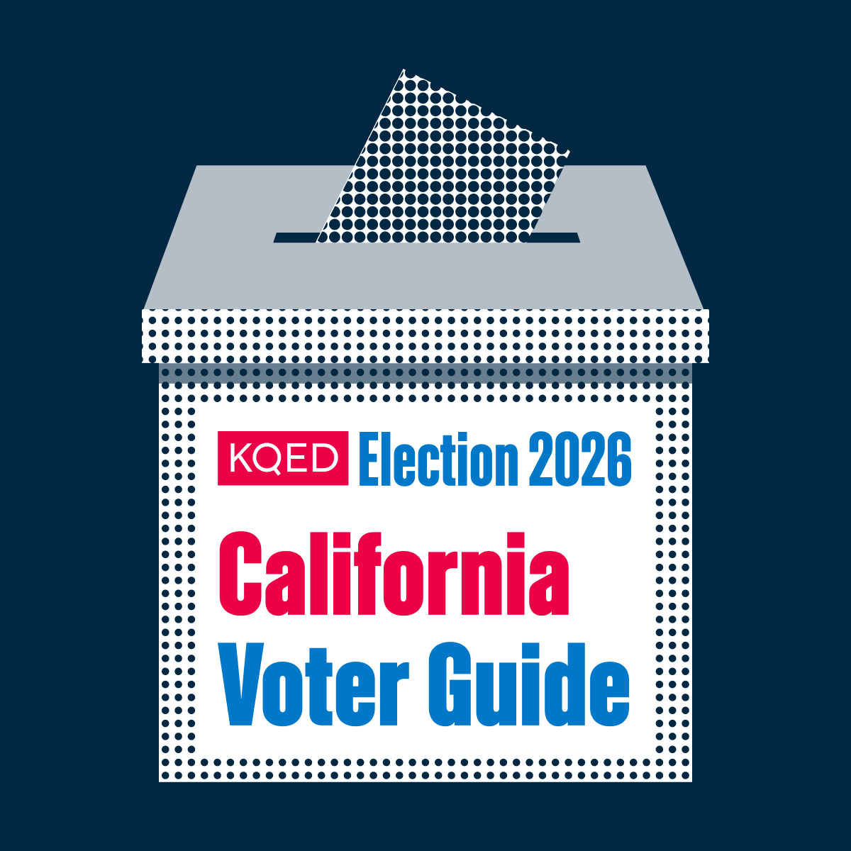 Voter Guide 2026