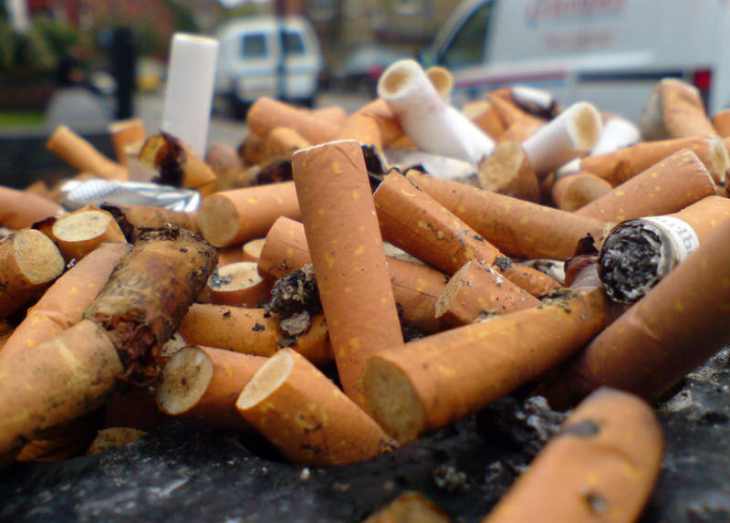 Cigarette butts