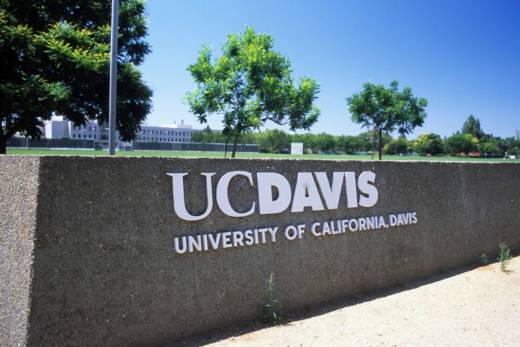 UC Davis campus police are investigating anti-Semitic flyers posted on and near the campus on Monday.