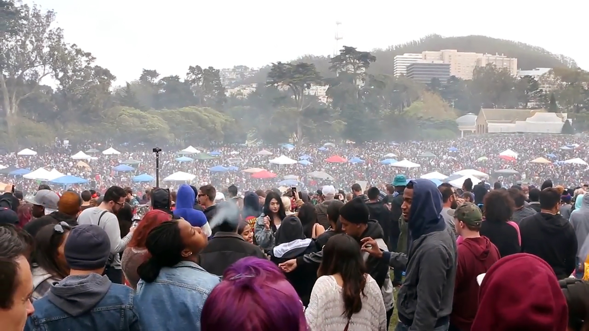 A view of Hippie Hill in Golden Gate Park during the 2015 420 celebration.