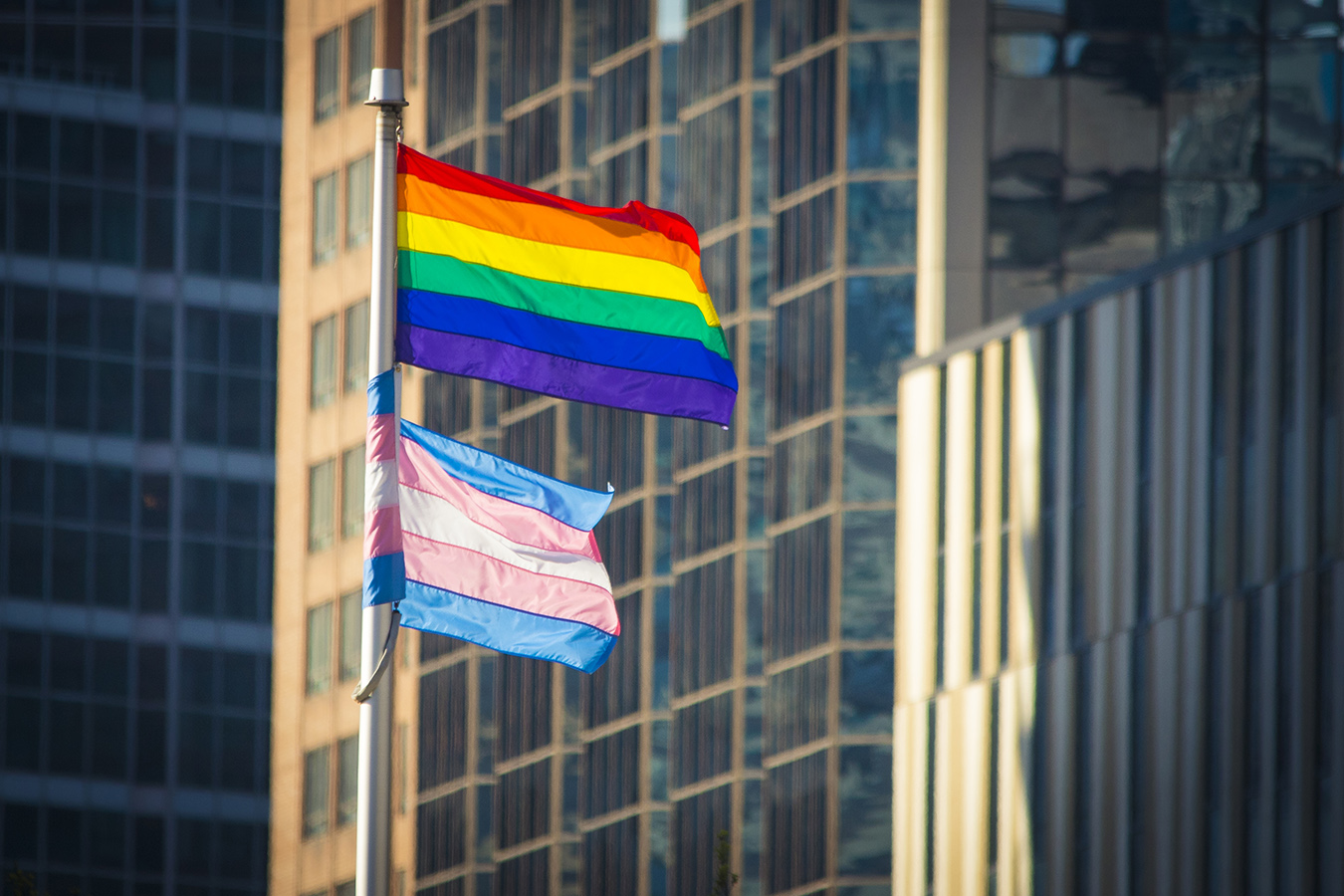 A Pride and Trans Flag.