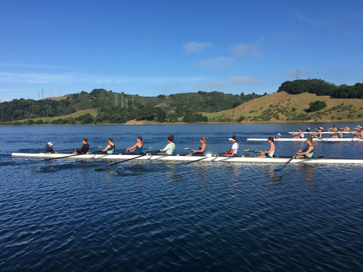 Sam Collins Rowing New UC Berkeley Initiative Will Try to Close ‘Dangerous’ Data Gap in ...