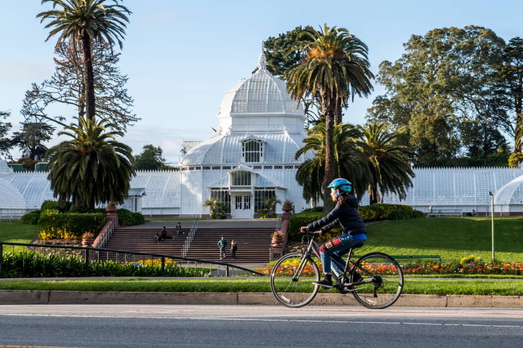 SF Parks Alliance para desligar em meio ao escândalo de ortografia, deixando os parceiros em The Lurch