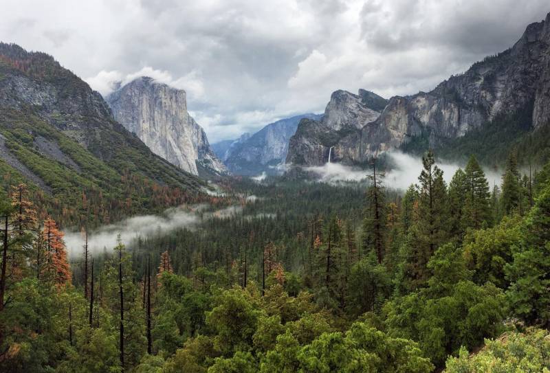 Yosemite National Park is set to open to the public again beginning Thursday, June 11.