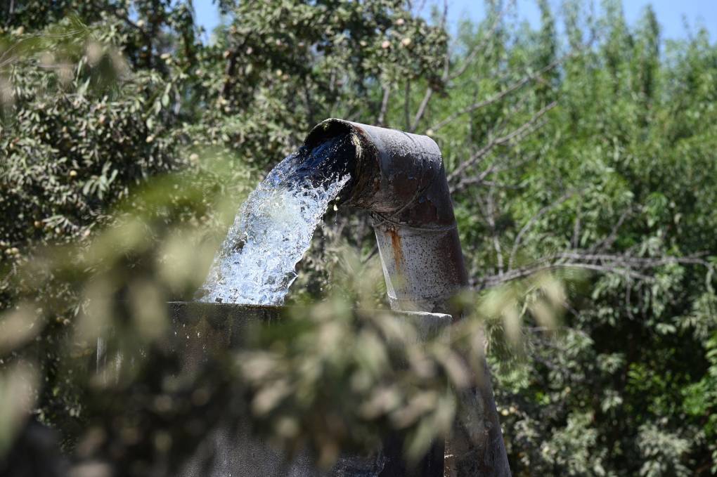 A metal cistern pumps a strong flow of water into a field full of green crops on a sunny day.
