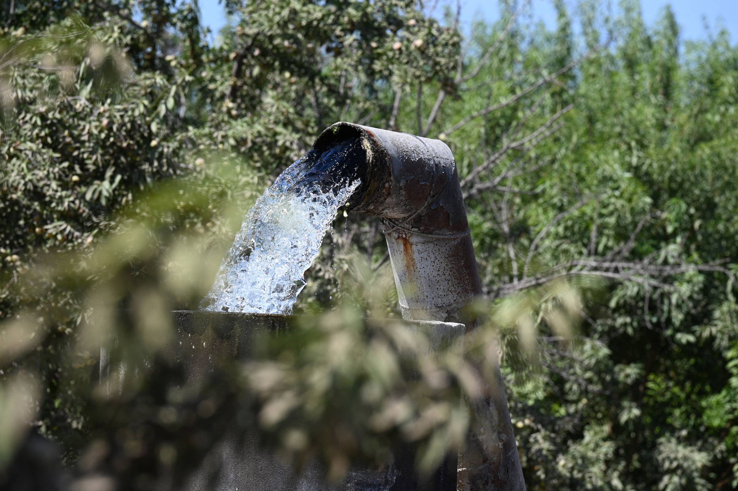 A metal cistern pumps a strong flow of water into a field full of green crops on a sunny day.