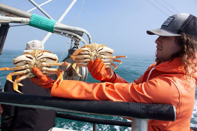 A man in an orange raincoat holds up two crabs.