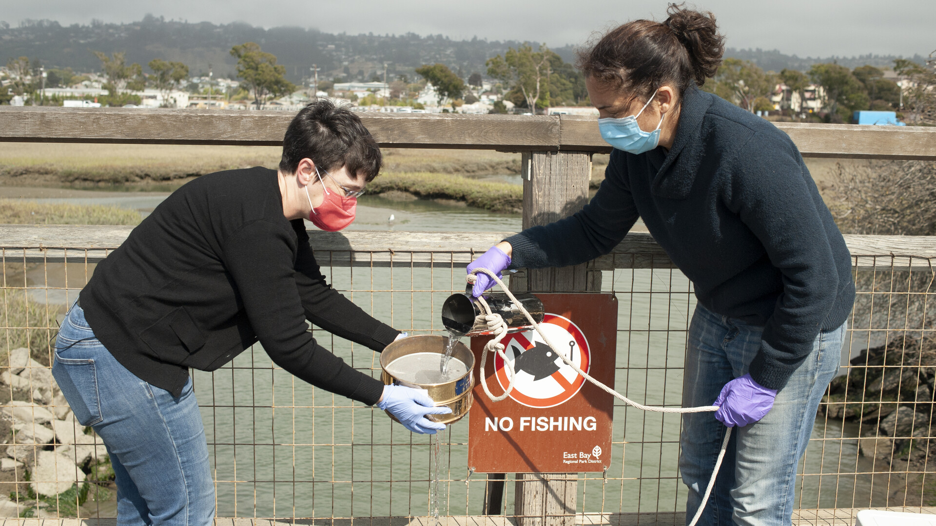 scientists sample bay water