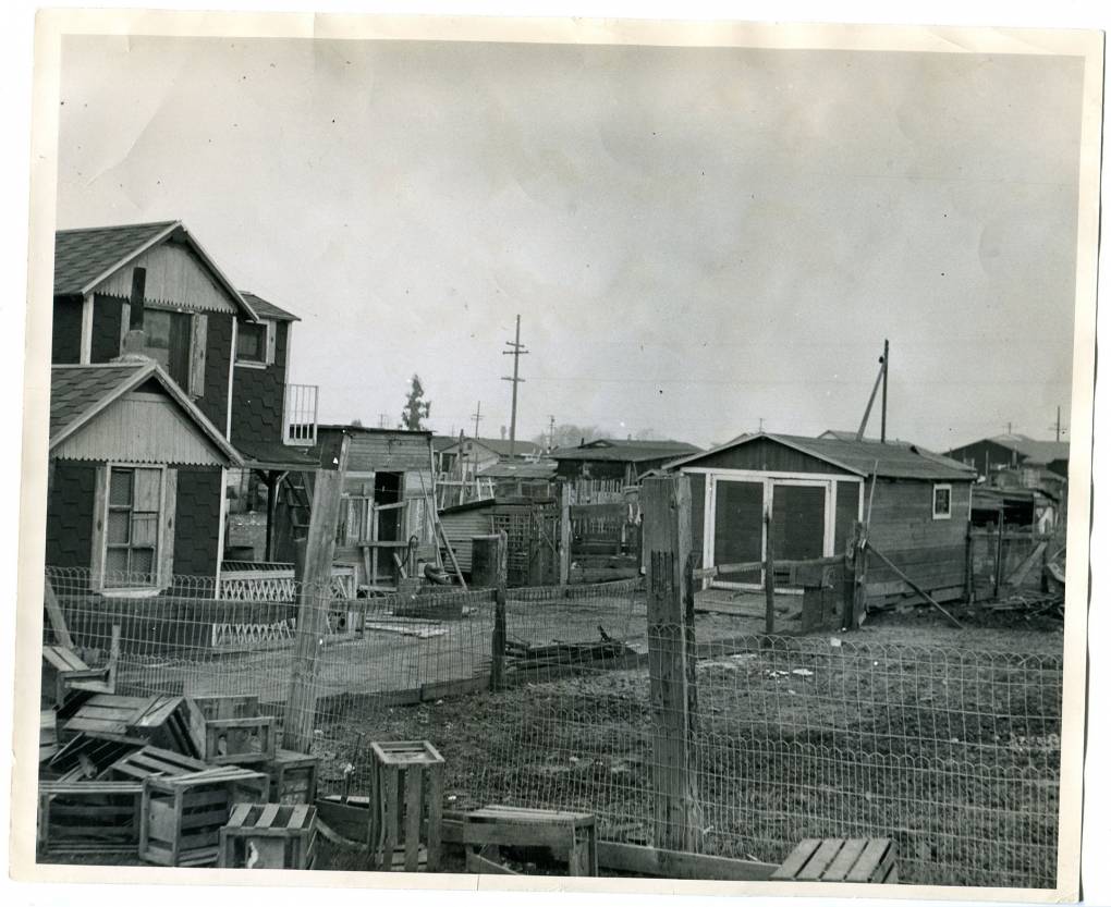 A black-and-white photograph of several wooden buildings, including a home, a large shed or garage and several small structures.