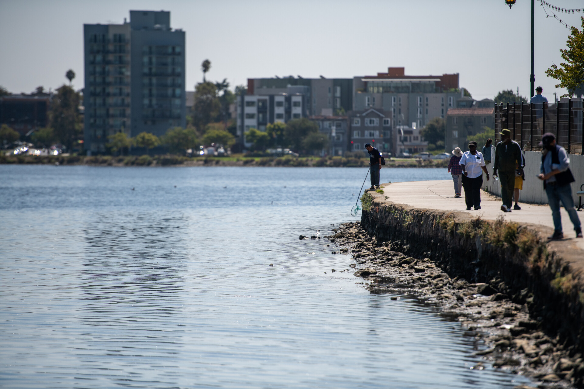As Dead Fish Pile Up, the Economic and Environmental Impact of the Red
