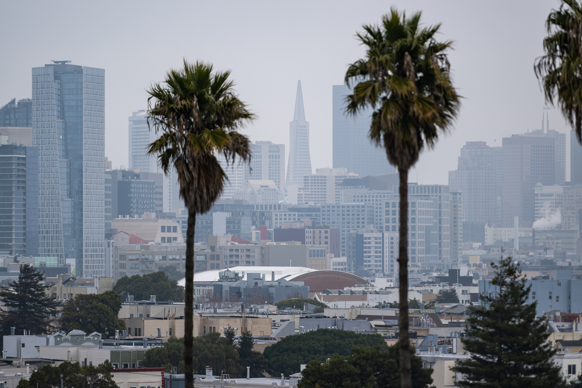 A foggy view of downtown San Francisco.