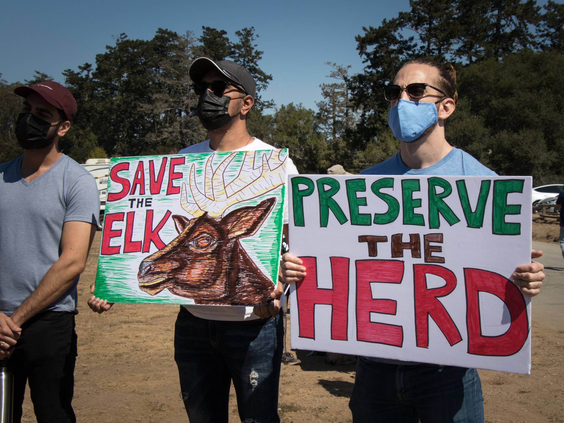 Point Reyes Protest Cattle Ranching Is at the Center of a Battle Brewing in Point Reyes | KQED