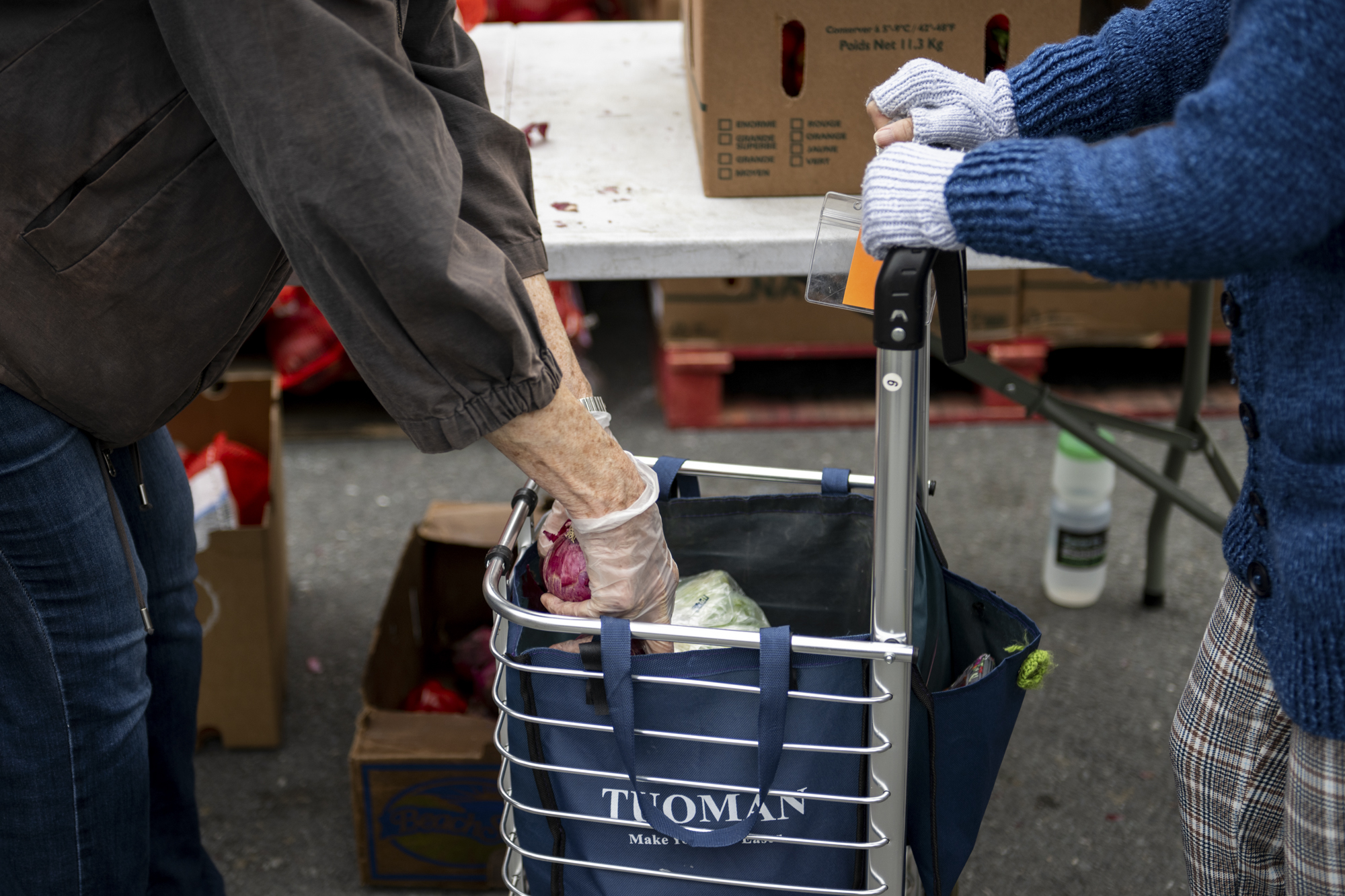 A pair of hands in knit gloves holds the handle of a shopping stroller while a pair of hands in clear plastic gloves places produce into the stroller.