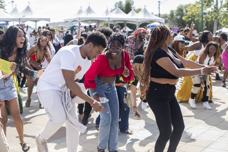 A group of people dance together on a sunny day.