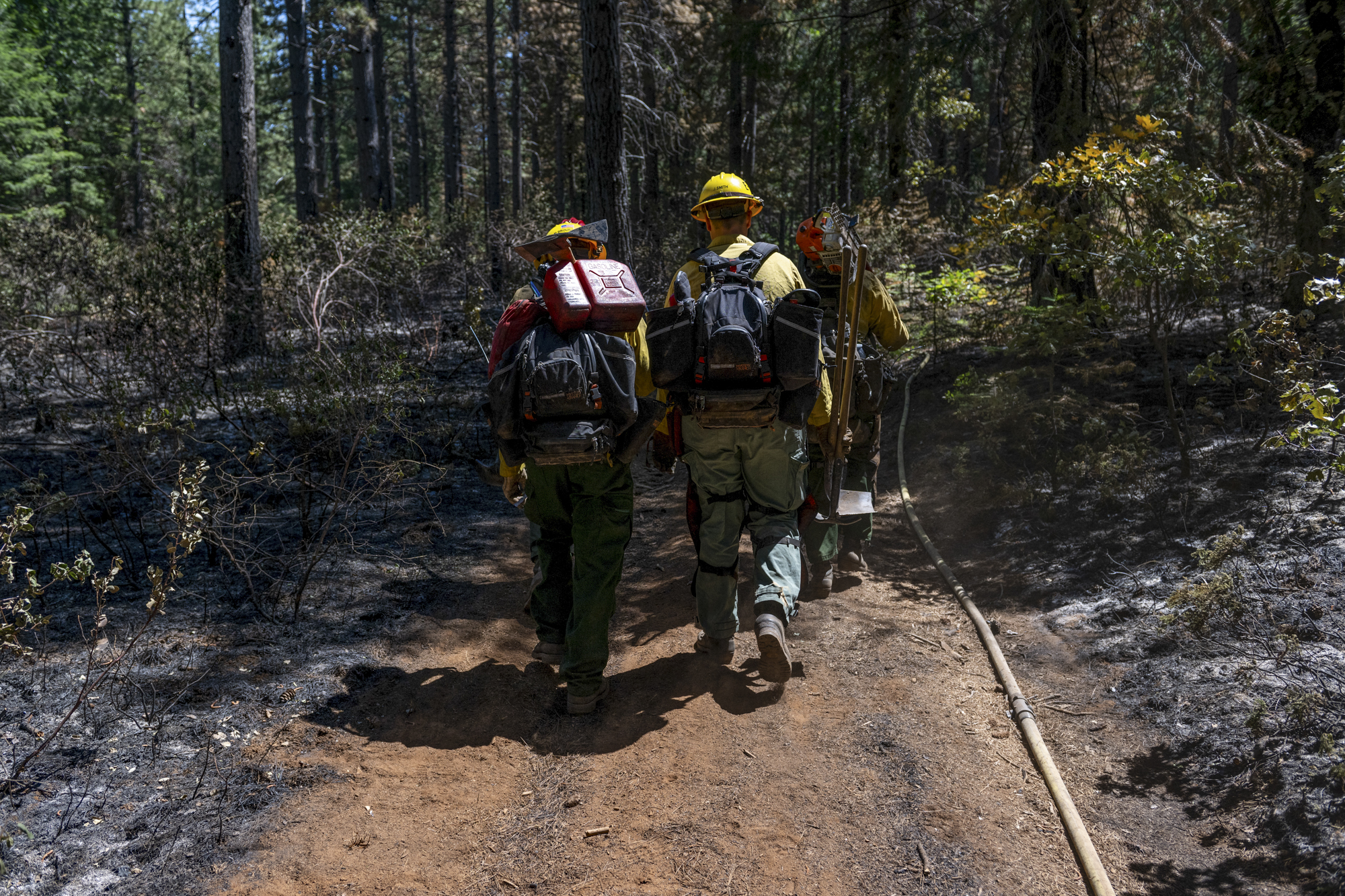 Three people in fire fighter's clothing walk through a recently burned patch of forest.