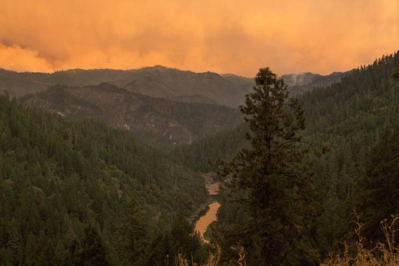 An orange, hazy sky amid burned trees is seen — the aftermath of a wildfire.
