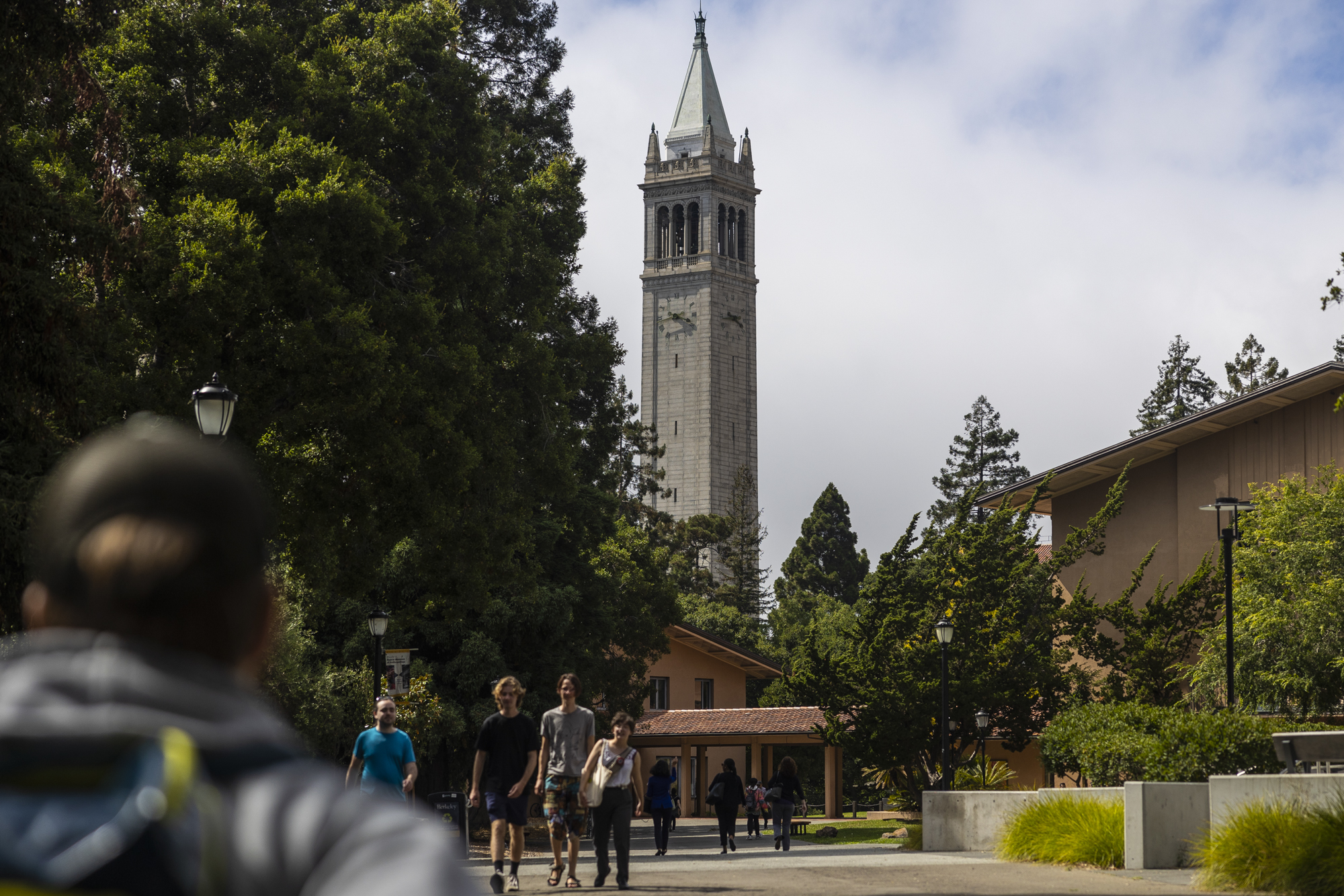 A bell and clock tower are set amid trees as students walk below.