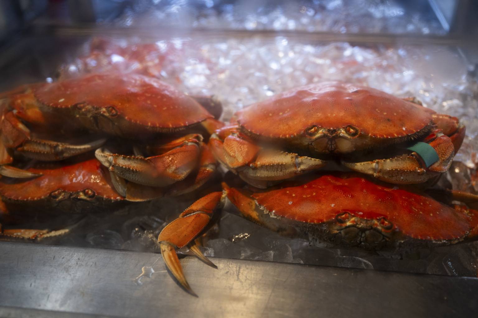 Dungeness Crab Season Delayed Again, SF Crabbers Miss Holiday Haul KQED