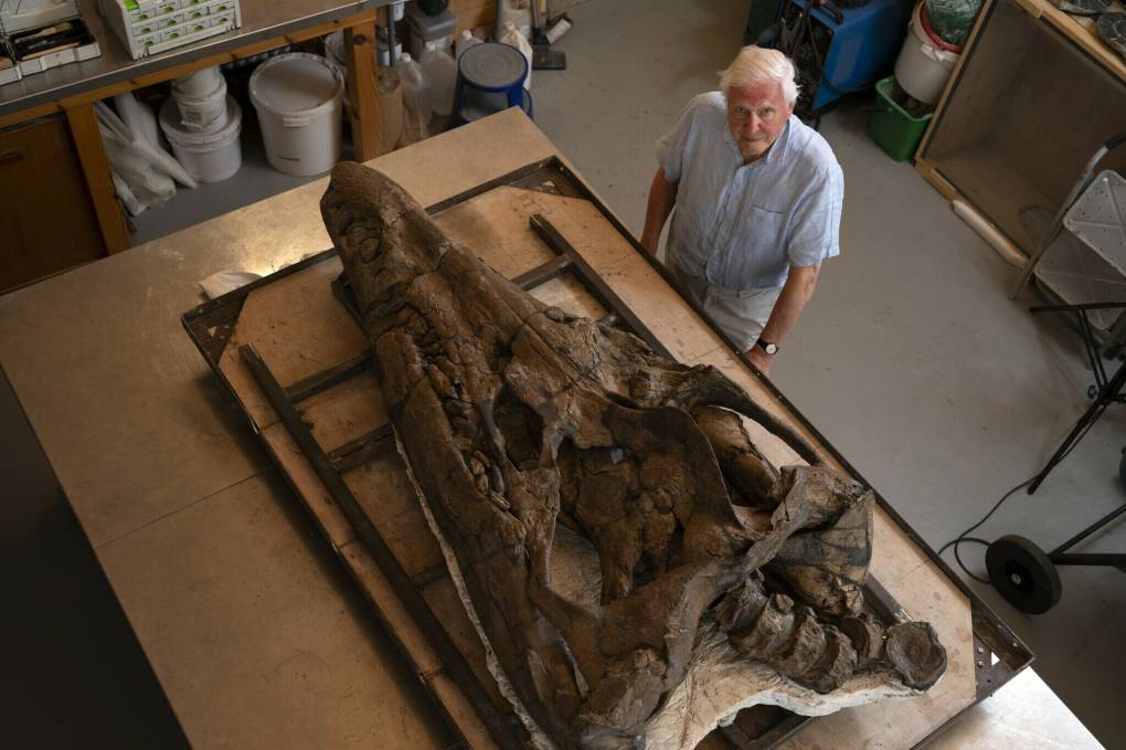 A man with white hair stands beside a restoration of dinosaur bones.