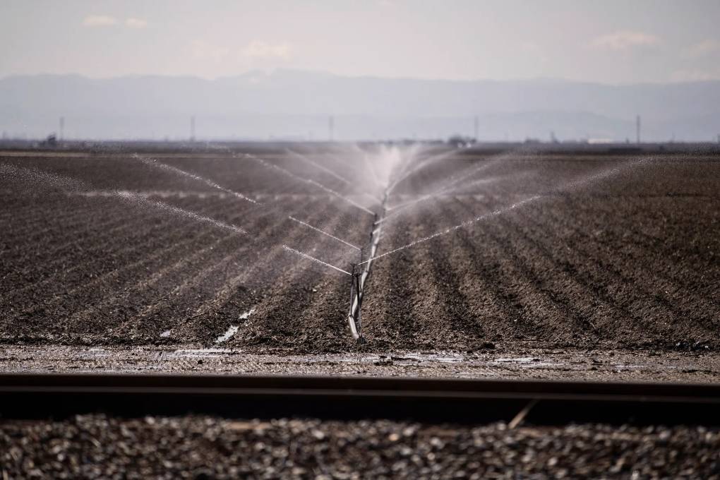 Sprinklers working in an agricultural field.