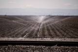 Alarming Study Reveals California’s Rapidly Declining Groundwater
Basins