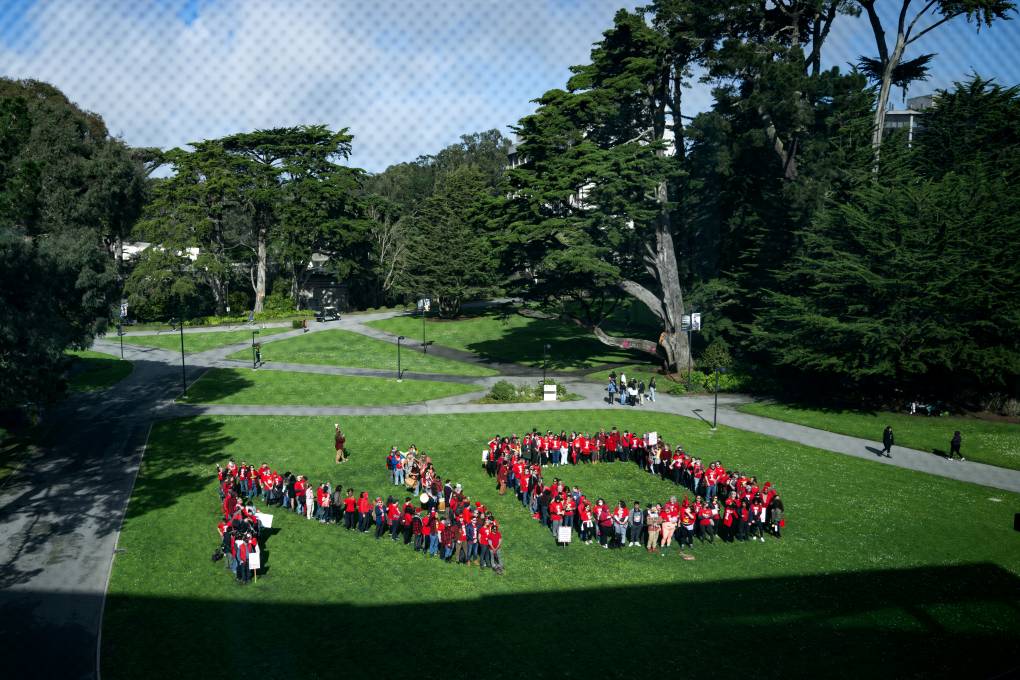 People form a human chain spelling the word 'No' on a green lawn.