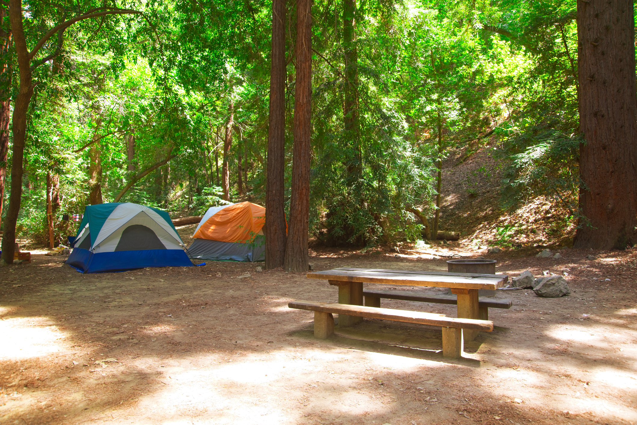 Tents surrounded by redwood trees and a picnic bench nearby.