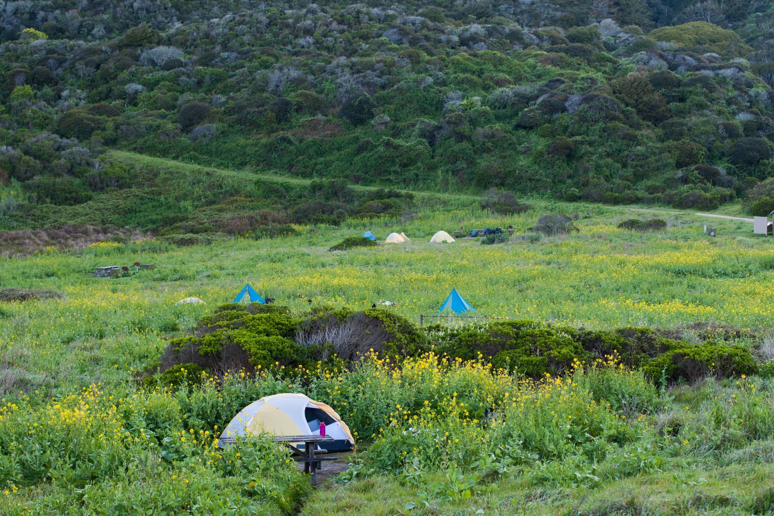 Tents in a big green meadow.