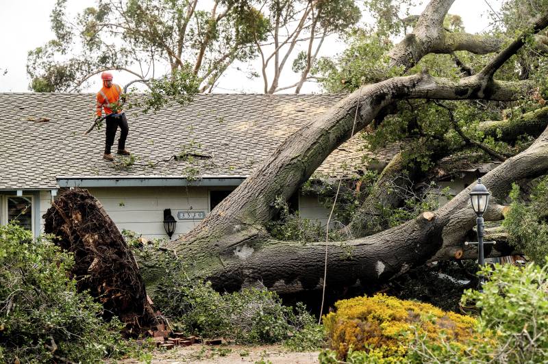 Workers clear a tree that fell onto a home