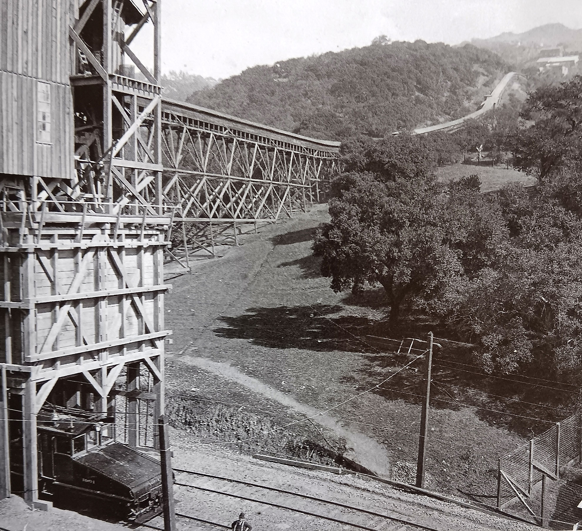 Black and white photo of a wooden trestle conveyor tram snaking its way up a wooded hill.