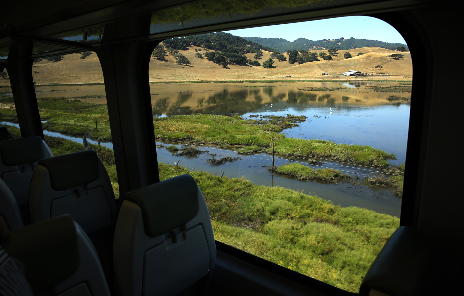 The photo is taken inside the train looking out. Inside are seats in siloutte. Outside is a lush marshland with green grass poking out of a shallow body of water. In the distance a yellow hillside with dry grass rises above the marsh.