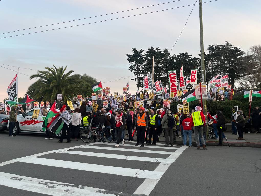 Protesters by the side of a road with a park behind them holding banners and chanting.