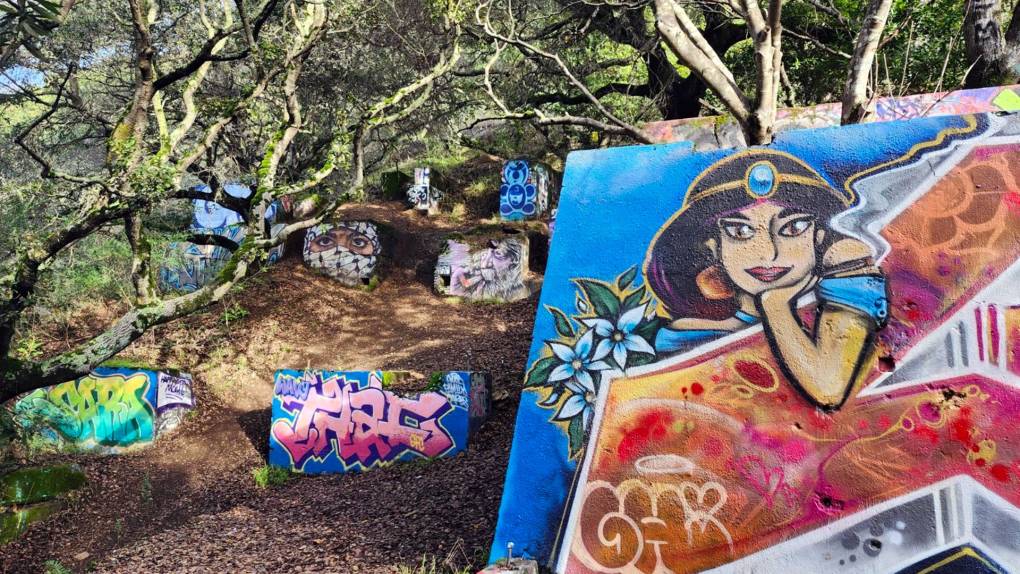 In the right side foreground a mural of Jasmine from the Disney movie Aladdin gives way to almost 10 mural painted on chunks of concrete.