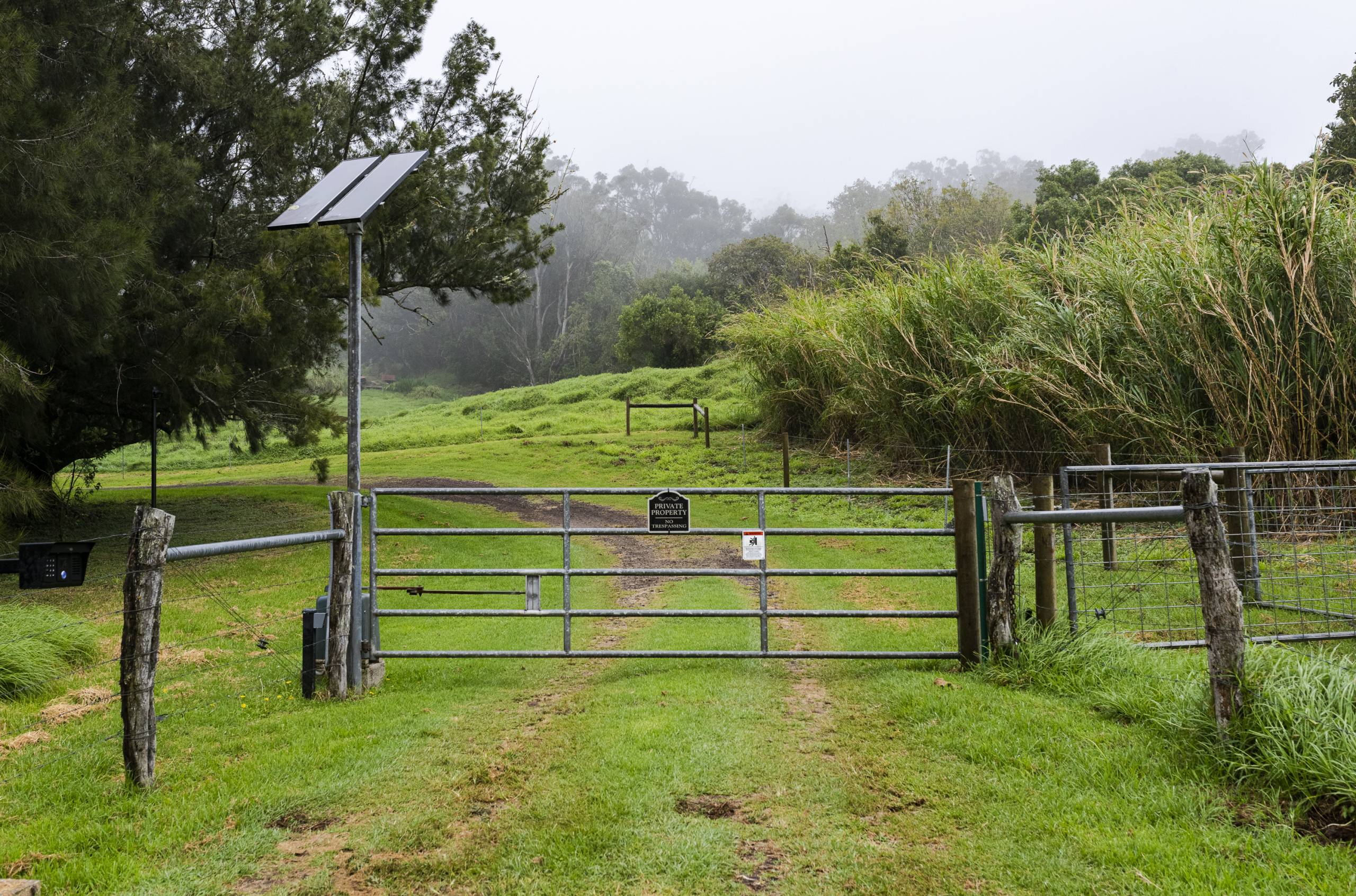 A gate in front of a grassy landscape with trees and mountains in the background.