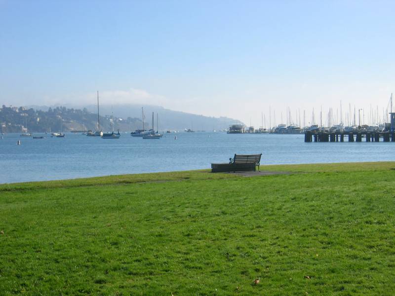 To the left, boats scattered in bay, while to the right, a pier is seen. In the foreground, a bench sits in a field of green grass.