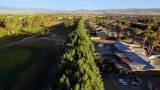 ‘Racist Trees’ Film Explores History of Housing Exclusion in Palm
Springs