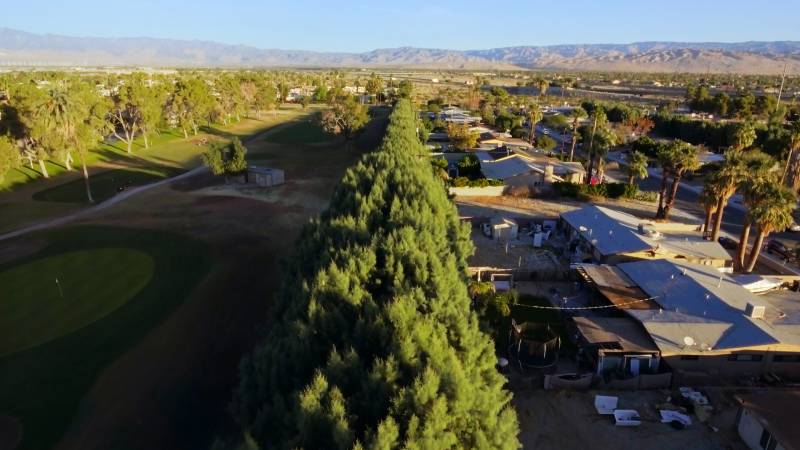 An aerial view of trees and a residential neighborhood.