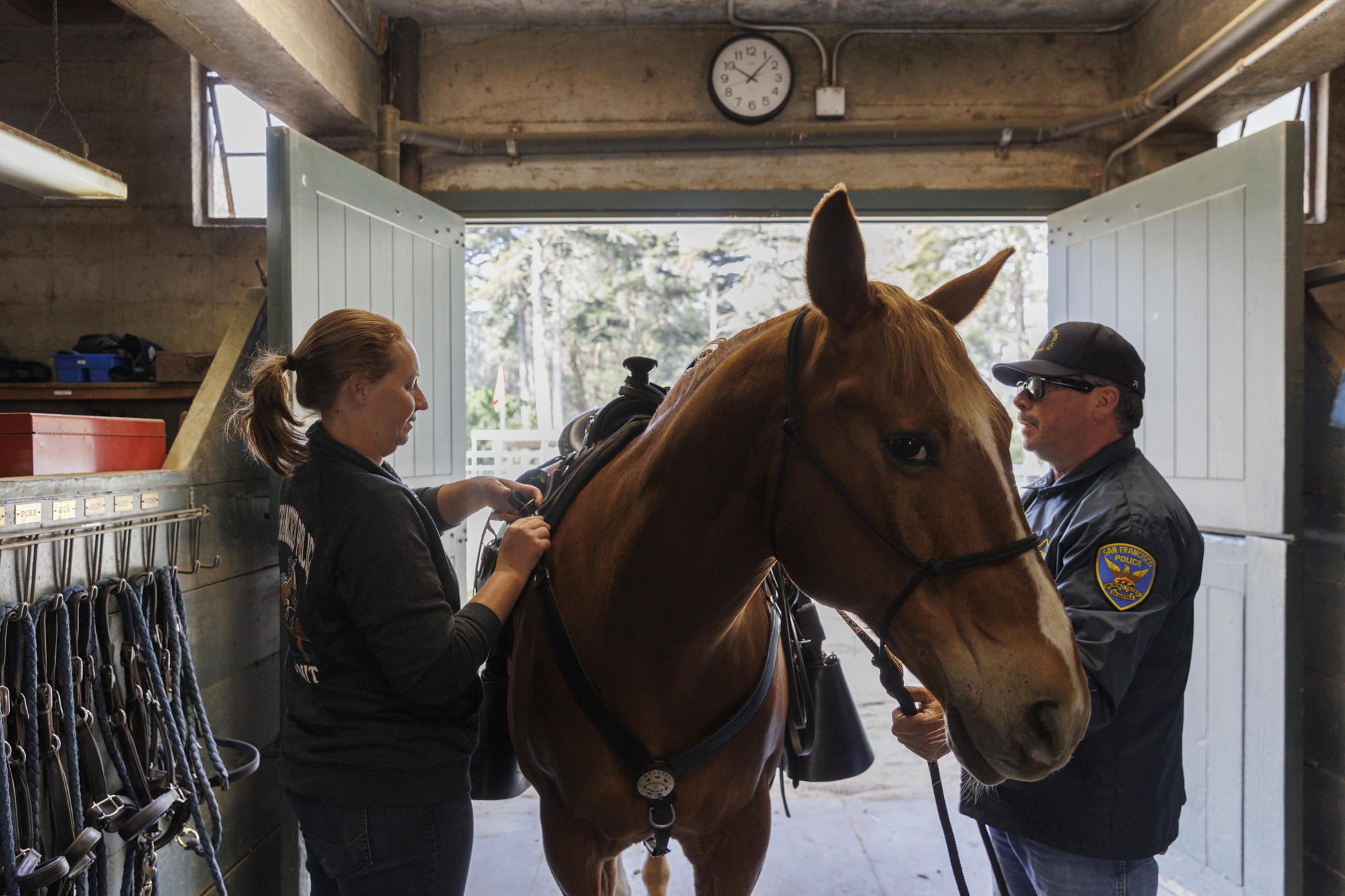 Two people groom a horse inside a barn.