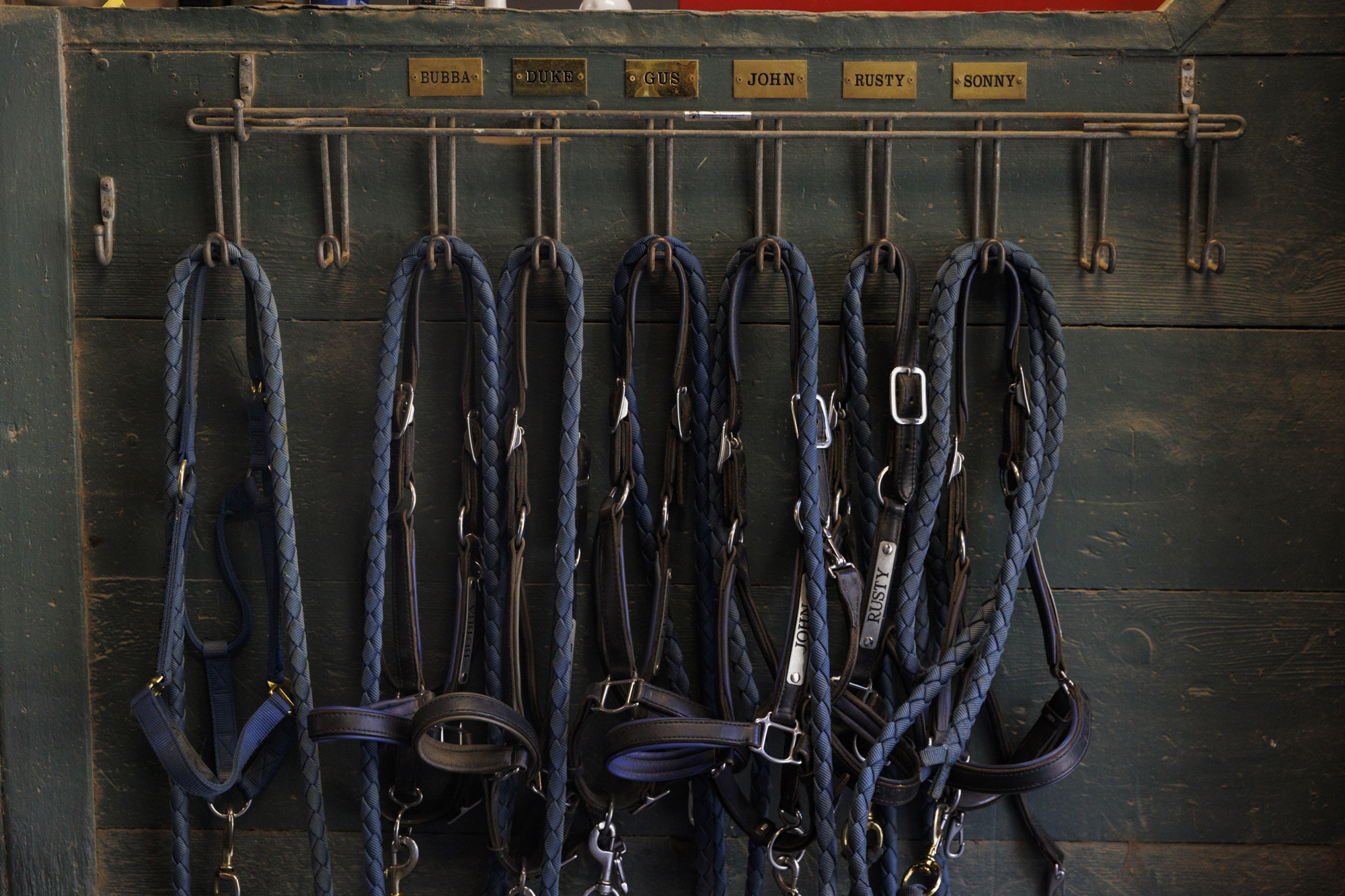 Horse bridles and bits hang from labeled hooks.