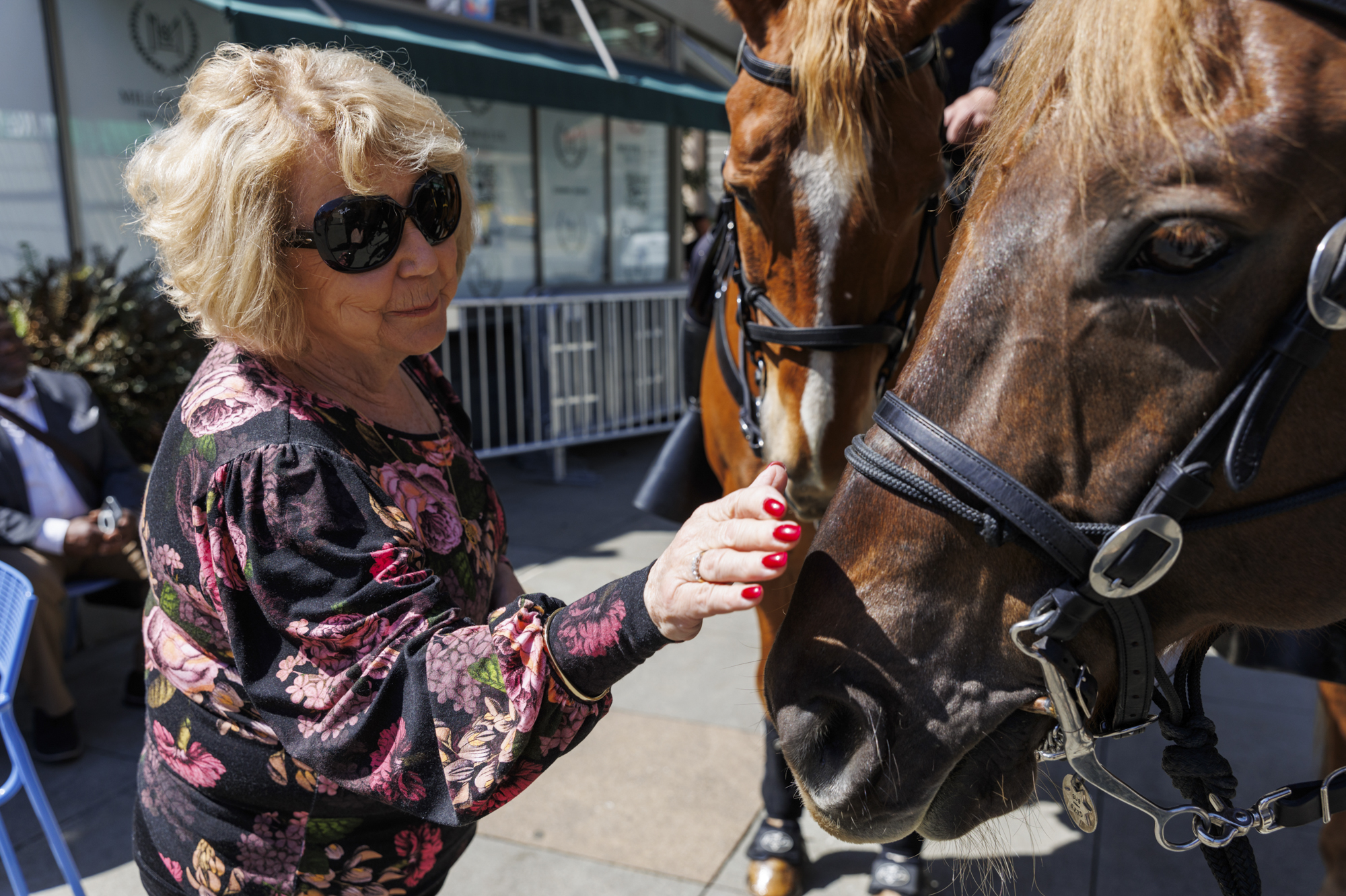 An older woman in sunglasses pets police horses on the street in San Francisco.