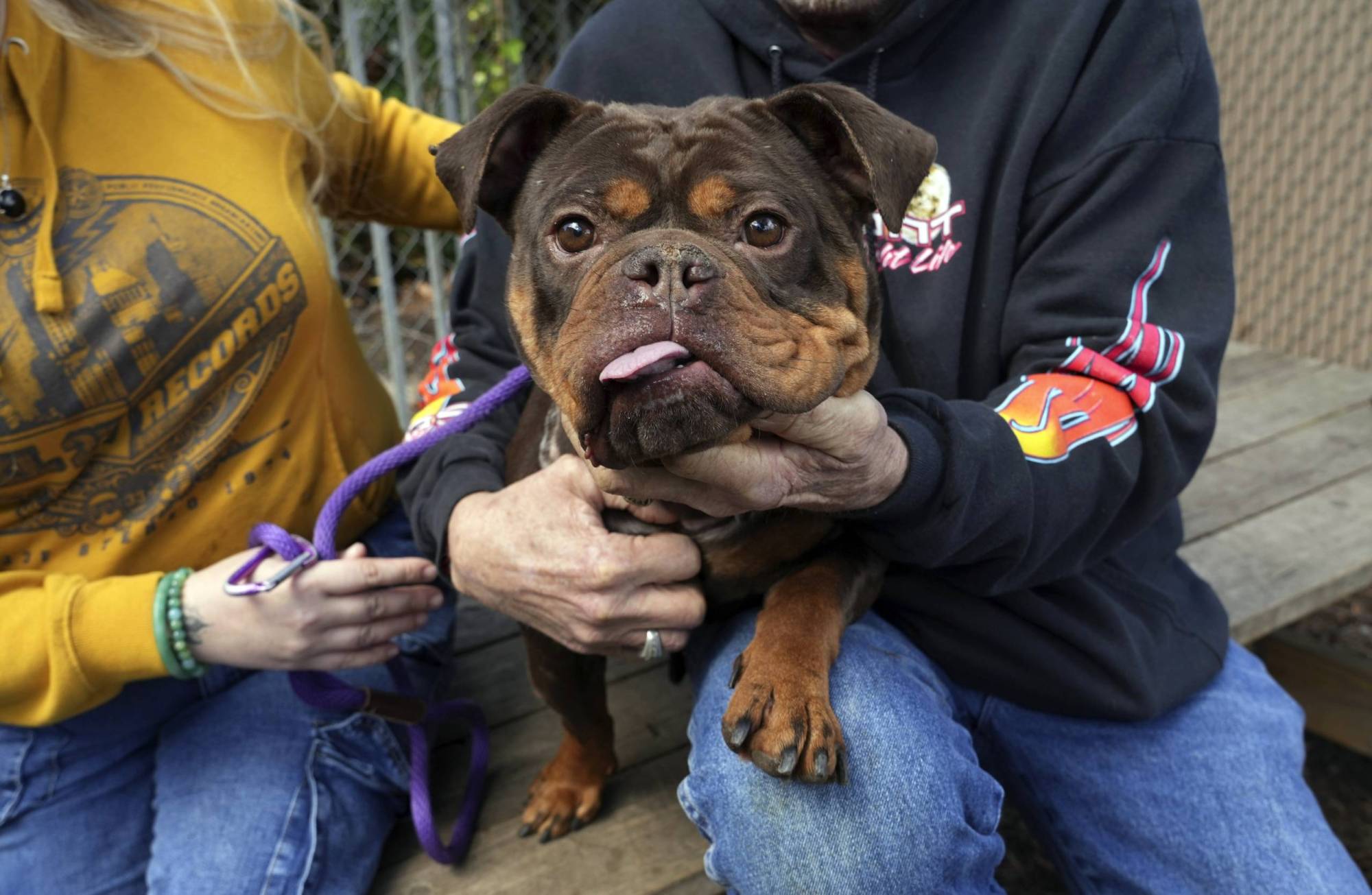 A dog sits between two people holding and petting it.