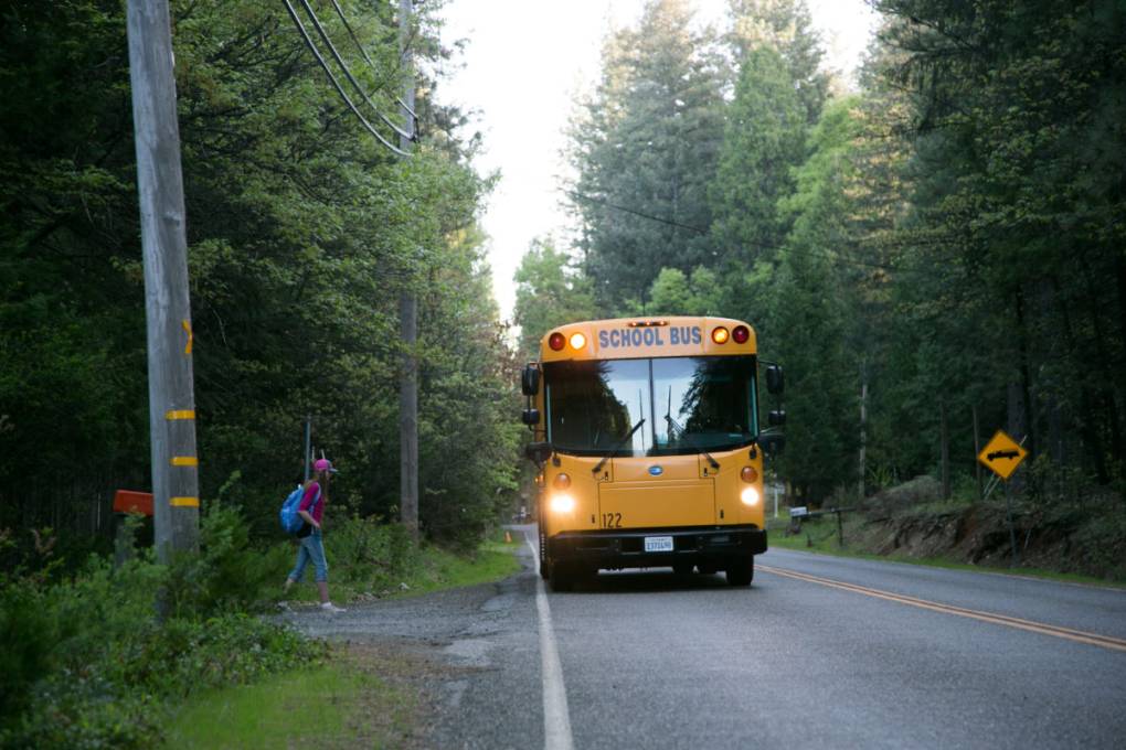 A school bus seen driving on a tree-lined country road with a student with a backpack preparing to board.