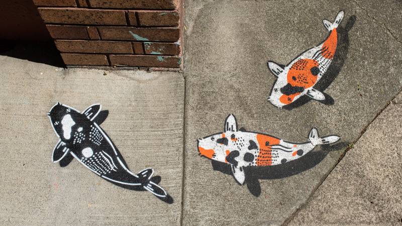 Three koi fish stenciled on a sidewalk in San Francisco. Two are orange, white and black. One is black and white. They swim around a corner of a building.