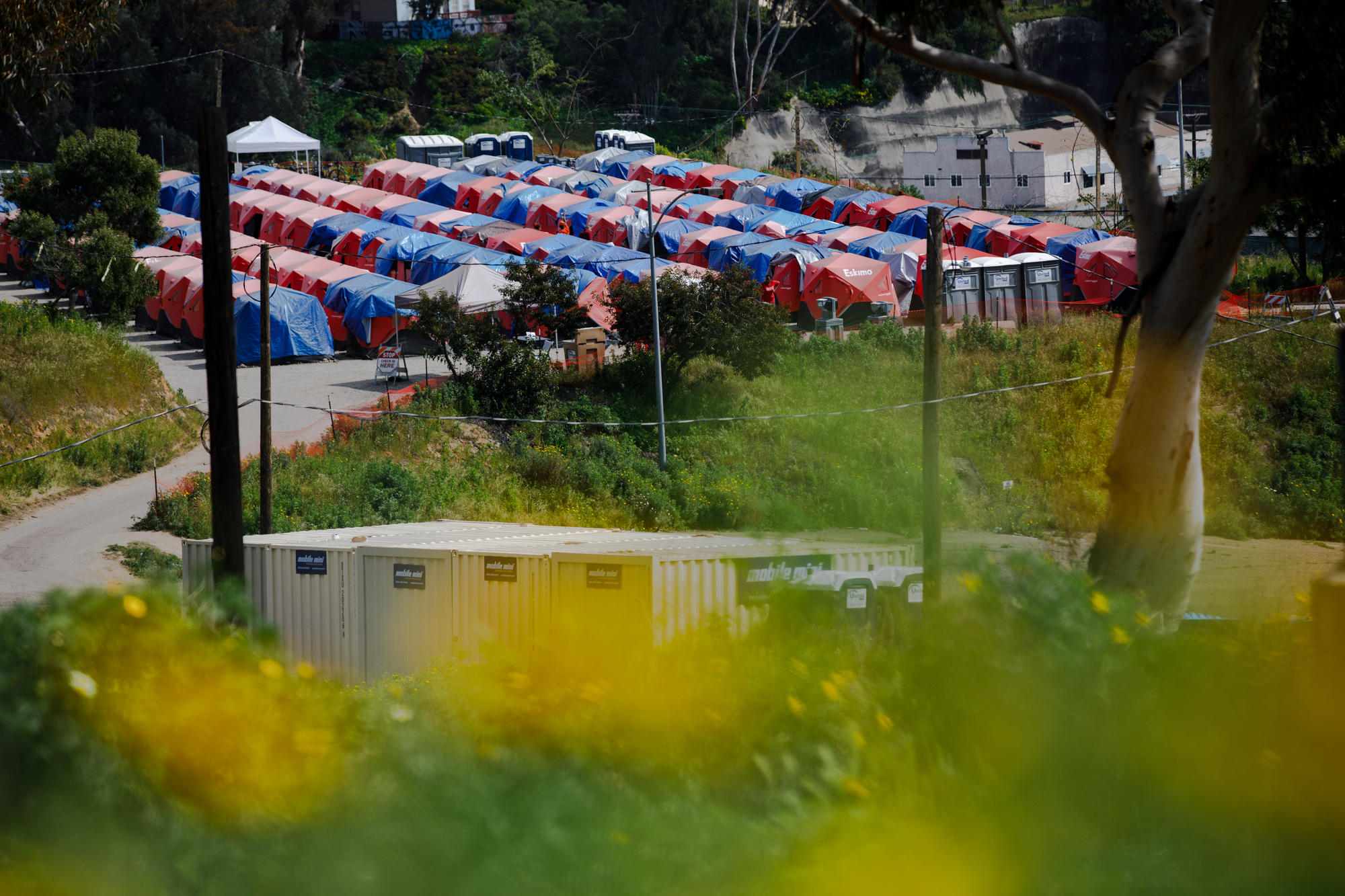 Rows of tents outdoors from a distance.