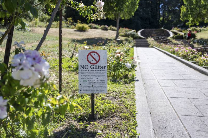 The image shows a cement pathway leading through a rose garden. To the left of the path on the grass is a sign that reads "NO GLITTER."