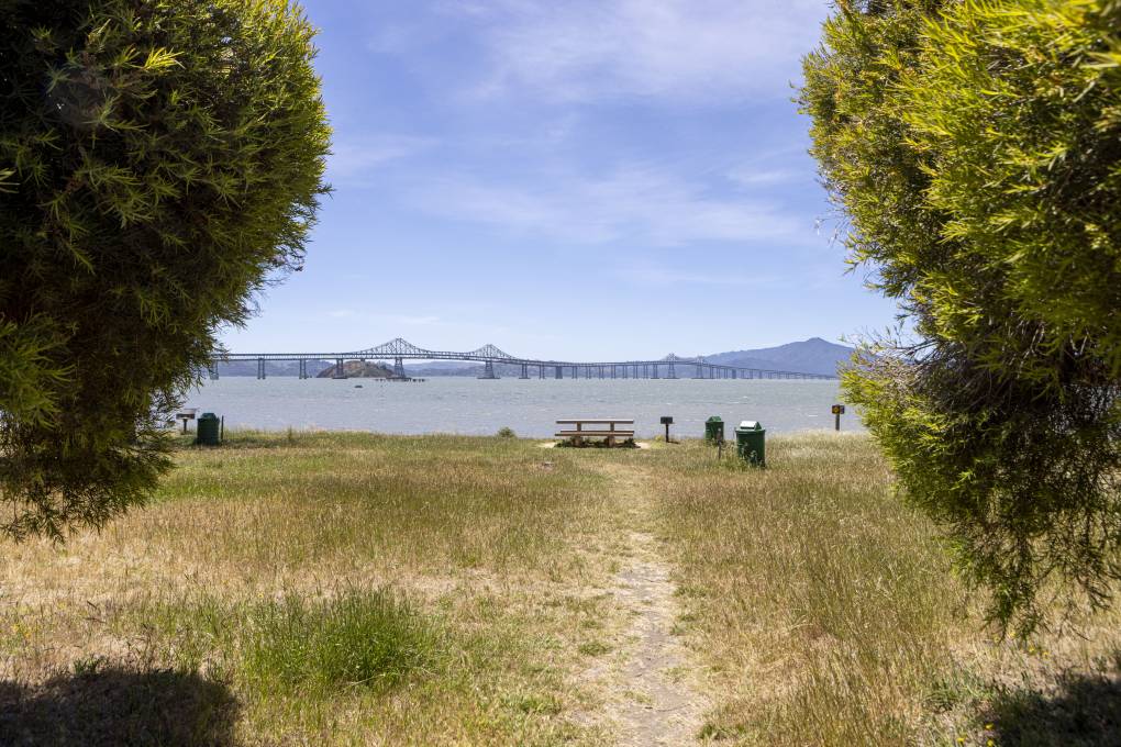 A bridge seen in the distance from a park.