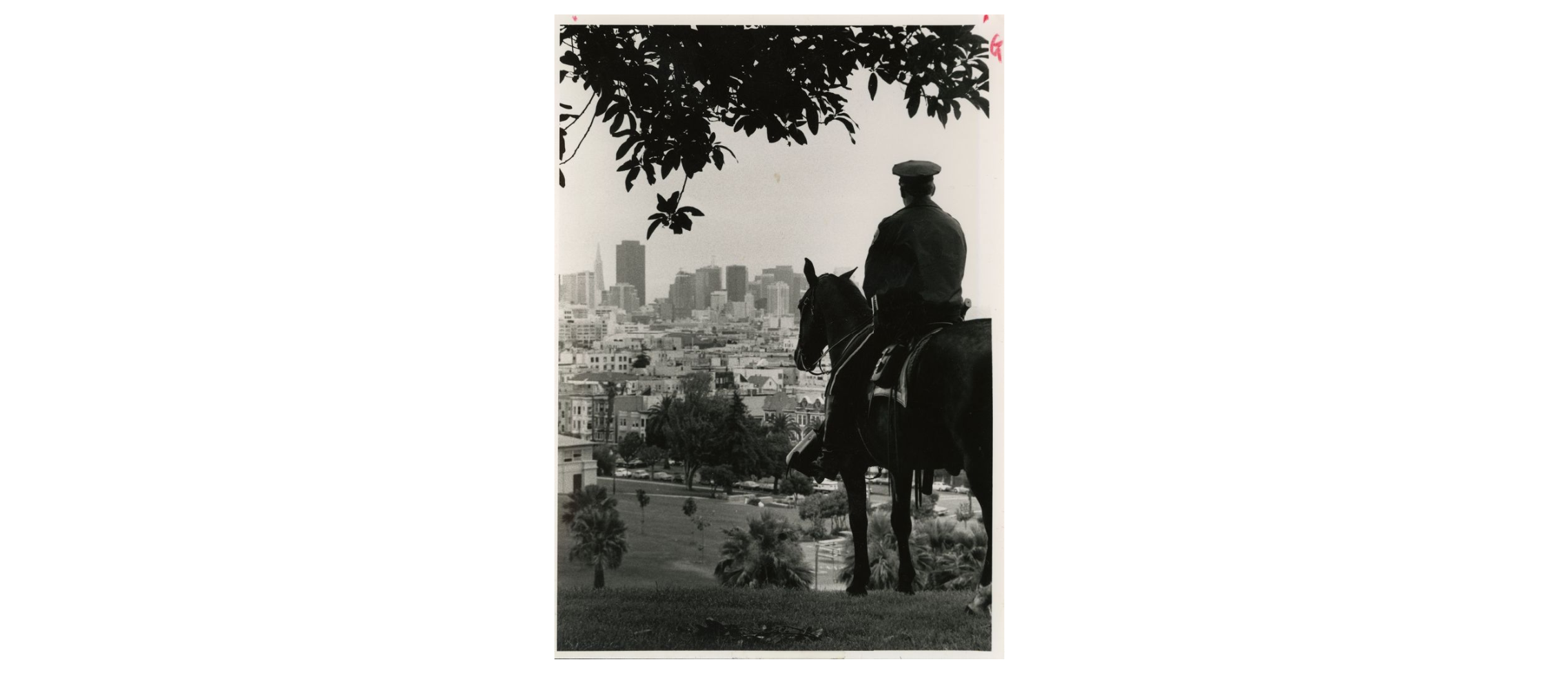 Mounted officer in profile looks out over San Francisco from a hill.