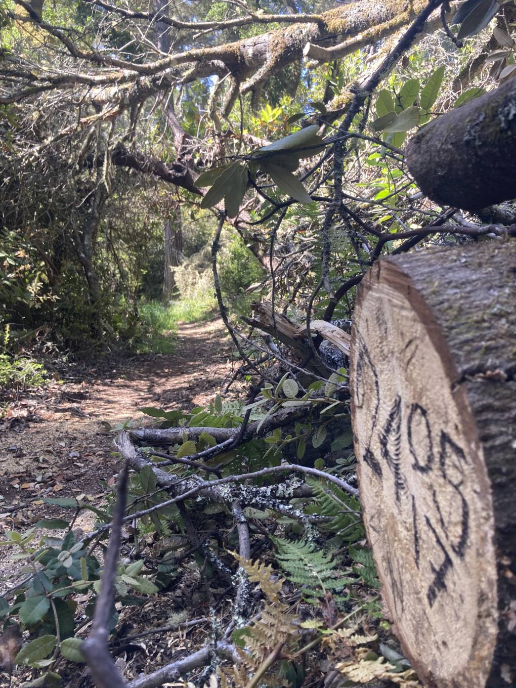 The History Behind Some of California's Hidden Gems | KQED