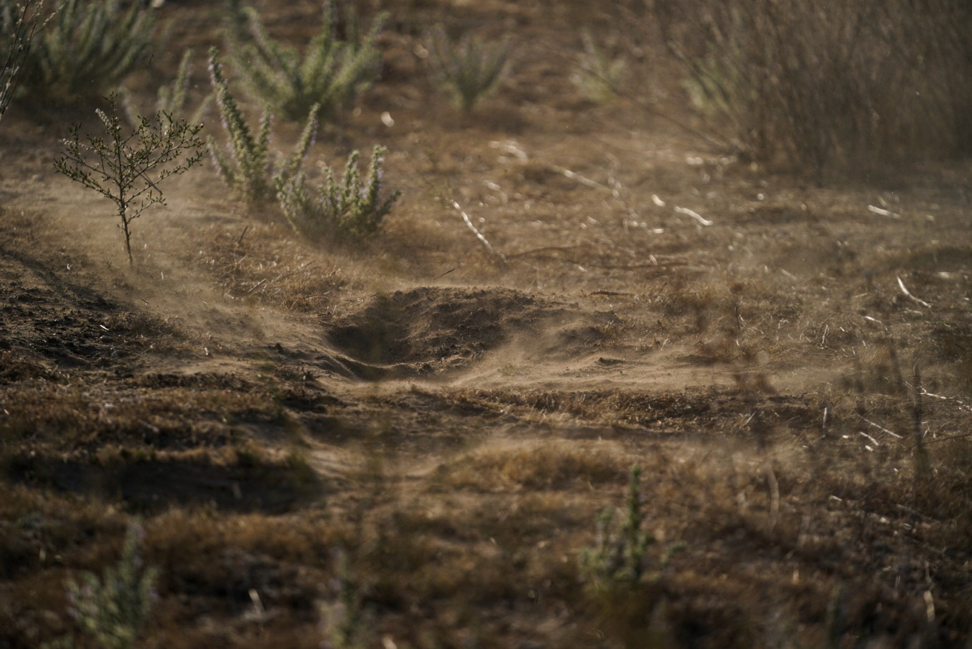 A picture of dirt on the ground.